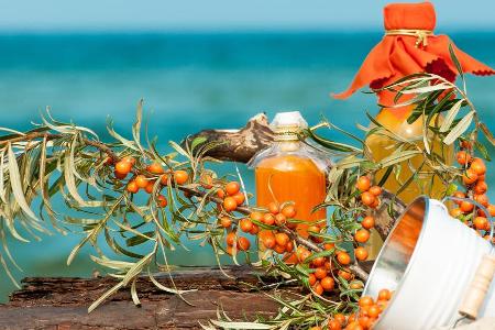 Powerfrucht von der Ostsee: Sanddorn gibt es als Saft, Likör und sogar Bonbons. Powerfrucht von der Ostsee: Sanddorn gibt es als Saft, Likör und sogar Bonbons.