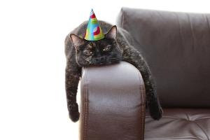 Silvesterkater: Tipps und Tricks für den Morgen danach