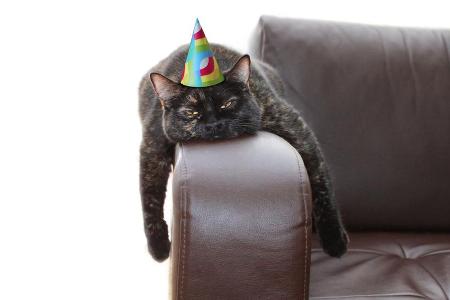 Auch wenn die Silvesternacht in diesem Jahr etwas ruhiger ablaufen dürfte, ist man vor viel Alkohol und dem darauffolgenden ...
