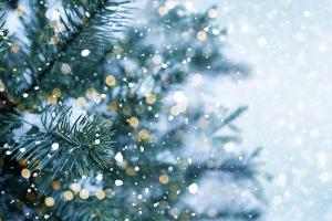 Der erste Schnee ist da: Wie stehen die Chancen auf weiße Weihnachten?
