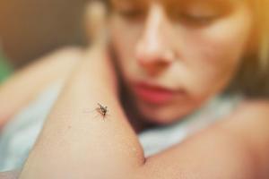 Kann das Coronavirus von Mücken übertragen werden? WHO gibt Entwarnung