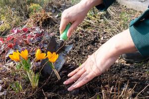 Frühlingsanfang: Was Sie jetzt für Ihren Garten tun können