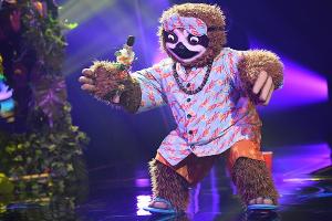 Ist das "The Masked Singer"-Faultier wirklich Stefan Raab?