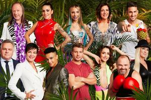 Dschungelcamp: Das sind die wichtigsten Fakten zur RTL-Show