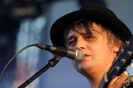 Dank eines Igels kann Pete Doherty erstmal nicht Gitarre spielen Dank eines Igels kann Pete Doherty erstmal nicht Gitarre spielen
