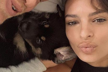 Süßes Familienfoto: Ratajkowski mit Ehemann und Hund Colombo Süßes Familienfoto: Ratajkowski mit Ehemann und Hund Colombo