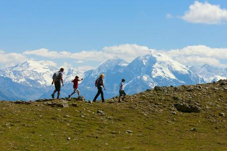 Wanderung durch den Nationalpark Stilfserjoch - den Ortler (3.905m) immer im Blick Wanderung durch den Nationalpark Stilfserjoch - den Ortler (3.905m) immer im Blick