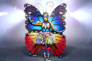 "The Masked Singer": Das verbirgt sich hinter der neuen ProSieben-Show