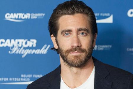 Jake Gyllenhaal rettete einem Hund womöglich das Leben Jake Gyllenhaal rettete einem Hund womöglich das Leben