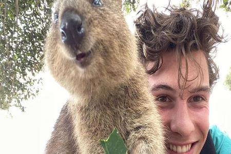 Shawn Mendes scheint einen neuen besten Freund zu haben Shawn Mendes scheint einen neuen besten Freund zu haben