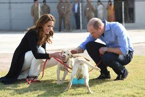 Prinz William und Herzogin Kate: Pakistan-Reise nimmt tierisches Ende