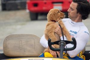 Rennfahrer Denny (Milo Ventimiglia) liebt seinen Hund Enzo (Kevin Costner) über alles.