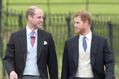 Prinz William (li.) sorgt sich um das Wohl seines Bruders Harry Prinz William (li.) sorgt sich um das Wohl seines Bruders Harry