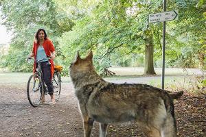 TV-Tipps am Dienstag