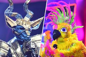 "The Masked Singer": Diese Stars stehen beim Publikum hoch im Kurs