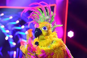 "The Masked Singer": Hinter der Kakadu-Maske steckt dieser Promi