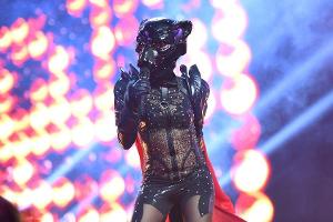 "The Masked Singer": Das macht die Show so erfolgreich