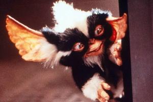 Bestätigt: Die Gremlins bekommen eine eigene Serie