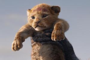 So niedlich wie im Original: So sieht der neue Simba aus