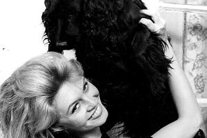 Brigitte Bardot wird 85: Die streitbare Stilikone feiert Geburtstag