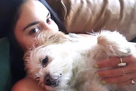 Vanessa Hudgens beim Schmusen mit Hündin Darla Vanessa Hudgens beim Schmusen mit Hündin Darla