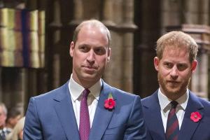 Prinz William und Prinz Harry im Einsatz als "Mini-Feuerwehr"