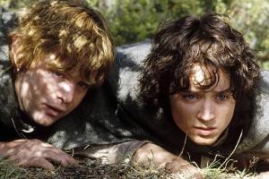 Auch die "Herr der Ringe"-Serie wird in Neuseeland gedreht