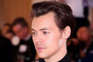 Bei Harry Styles darf es gern "über das Geschlecht hinausgehen"