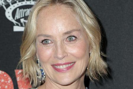 Sharon Stone muss ihre Partnersuche erst mal auf Eis legen Sharon Stone muss ihre Partnersuche erst mal auf Eis legen