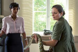 TV-Tipps am Dienstag