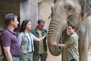 TV-Tipps am Dienstag