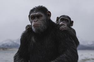 Erneut soll im Kino der "Planet der Affen" ausgerufen werden