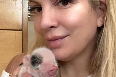 Grunz! Tori Spelling hat jetzt drei Ferkel im Haus Grunz! Tori Spelling hat jetzt drei Ferkel im Haus