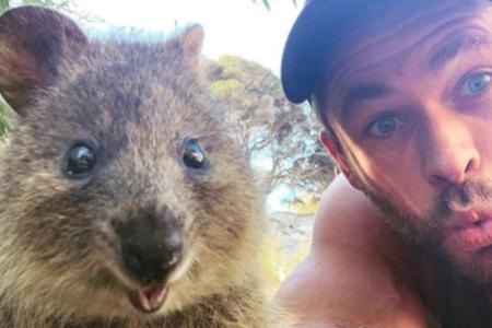 Chris Hemsworth lässt die Herzen schmelzen: Sein Quokka-Selfie ist zuckersüß! Chris Hemsworth lässt die Herzen schmelzen: Sein Quokka-Selfie ist zuckersüß!
