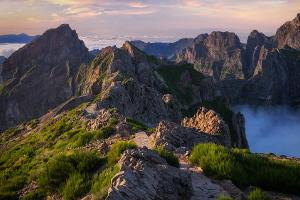 Darum sollte man Madeira unbedingt im Januar besuchen