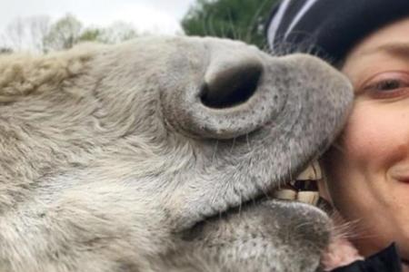 Tierischer Knutscher für Amanda Seyfried Tierischer Knutscher für Amanda Seyfried