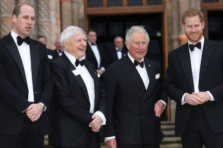 Prinz William an der Seite von Sir David Attenborough, Prinz Charles und Prinz Harry (v.l.) bei der Premiere in London Prinz William an der Seite von Sir David Attenborough, Prinz Charles und Prinz Harry (v.l.) bei der Premiere in London