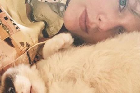 Taylor Swift hat eine neue Katze Taylor Swift hat eine neue Katze