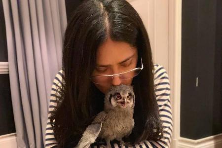 Salma Hayek und ihr neues Haustier Salma Hayek und ihr neues Haustier