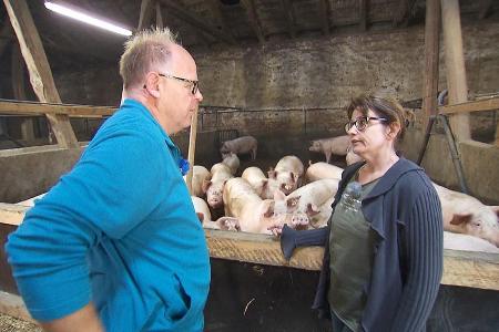 Heike kann Claus mit ihren Hundetrainer-Fähigkeiten nicht überzeugen Heike kann Claus mit ihren Hundetrainer-Fähigkeiten nicht überzeugen