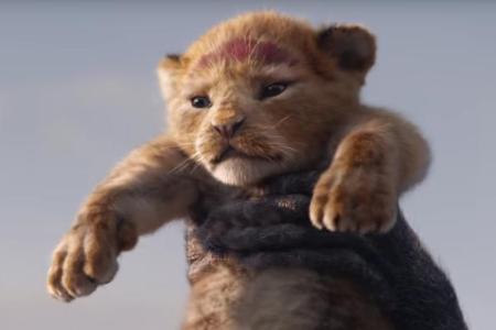 So putzig wie im Original: So sieht der neue Simba aus So putzig wie im Original: So sieht der neue Simba aus