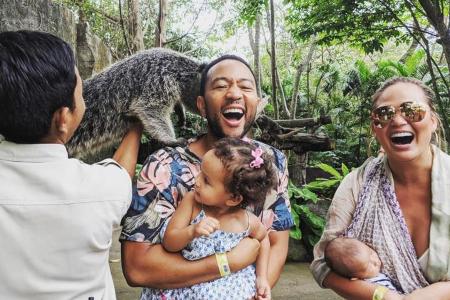 Der Binturong macht sich einen Spaß auf John Legends Kosten Der Binturong macht sich einen Spaß auf John Legends Kosten
