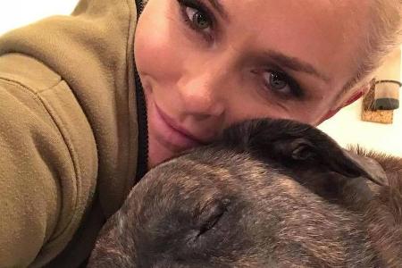 Lindsay Vonn kümmert sich liebevoll um ihre drei Hunde