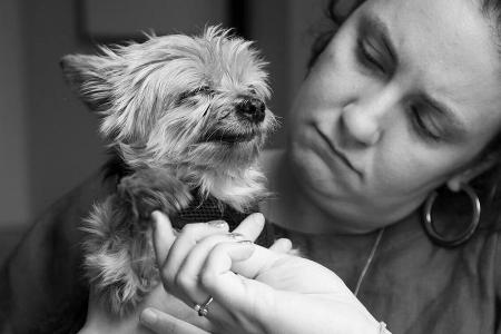 Lena Dunham mit ihrem Yorkie Bowie im Arm Lena Dunham mit ihrem Yorkie Bowie im Arm