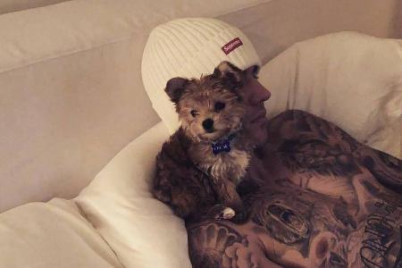 Justin Bieber präsentiert sein neues Familienmitglied: Hundebaby Oscar Justin Bieber präsentiert sein neues Familienmitglied: Hundebaby Oscar