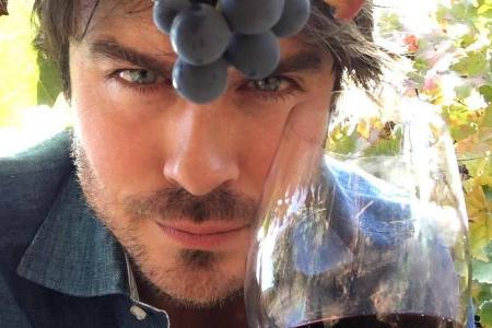 Unter die Winzer gegangen: Schauspieler Ian Somerhalder Unter die Winzer gegangen: Schauspieler Ian Somerhalder