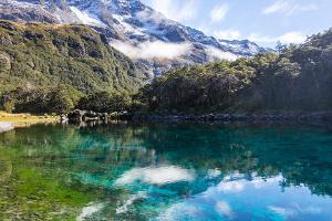 Warum der Blue Lake in Neuseeland der klarste See der Welt ist