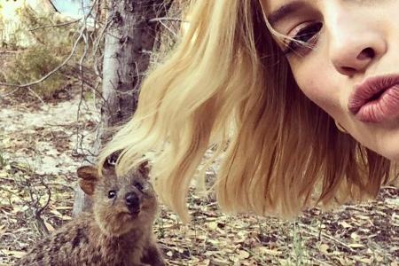 Margot Robbie hat sich einen besonders süßen Selfie-Partner geschnappt Margot Robbie hat sich einen besonders süßen Selfie-Partner geschnappt