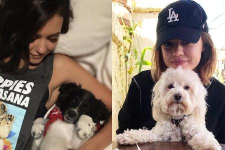 Nina Dobrev (l.) und Lucy Hale lieben ihre Hunde Nina Dobrev (l.) und Lucy Hale lieben ihre Hunde