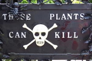 Der "Poison Garden" von Alnwick ist ein giftiges Vergnügen